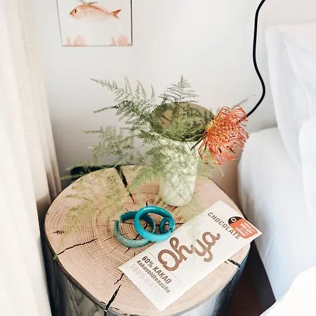 Haus Am Meer-ferienwohnungen Apartament Norderney